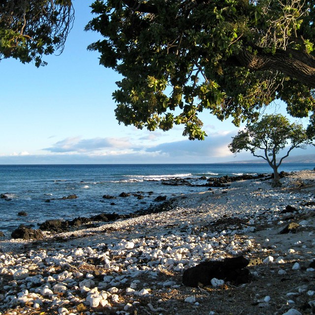 Beach view along the Ala Kahakai National Historic Trail. NPS Photo.
