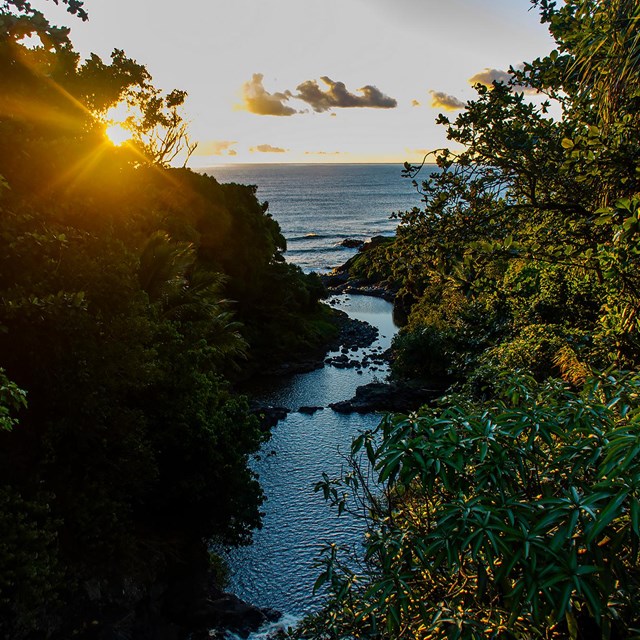 A view of ʻŌheo Gulch from the bridge in Kīpahulu. NPS Photo/Jake McFee.