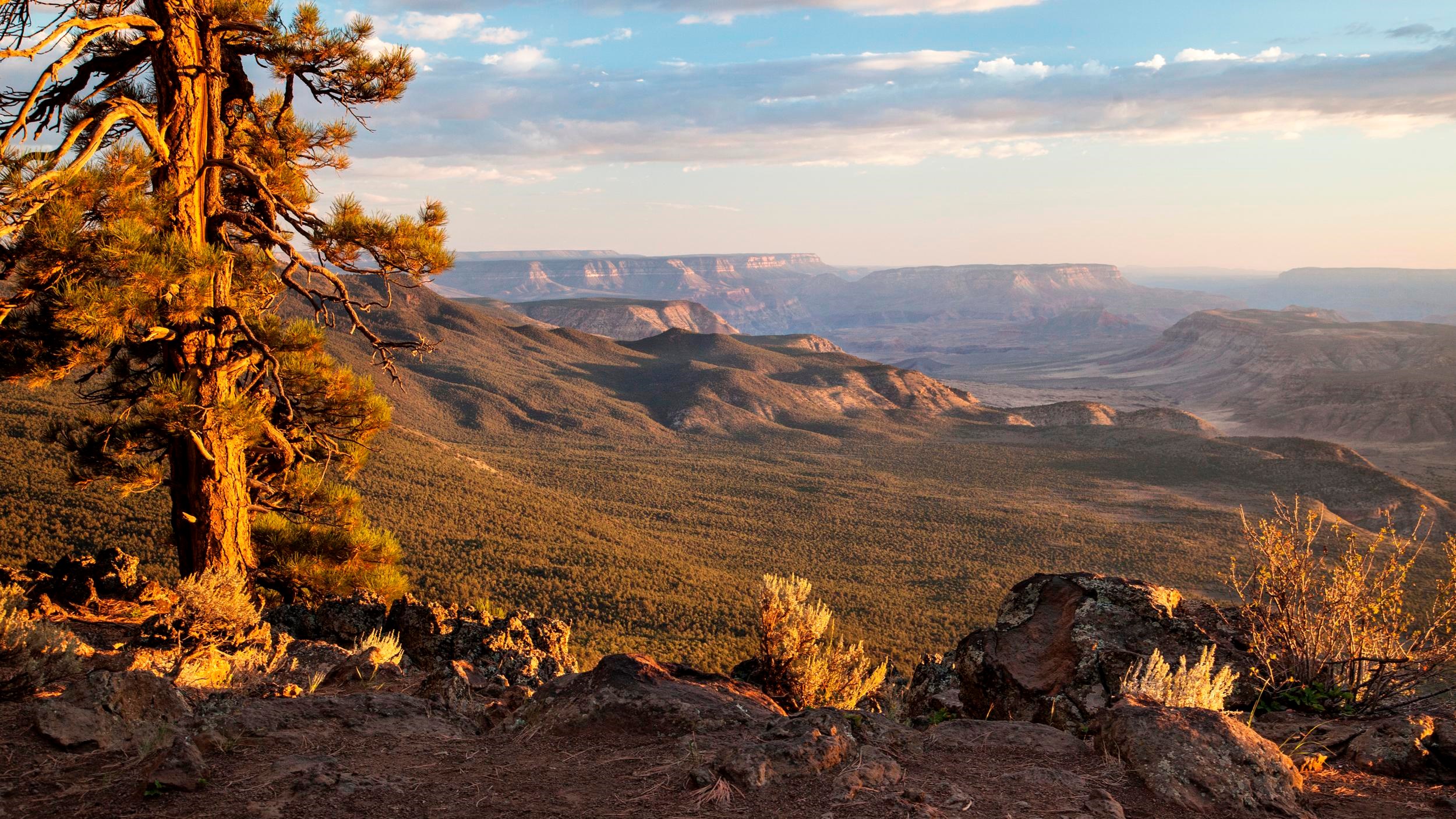 Grand Canyon-Parashant National Monument (U.S. National Park Service)