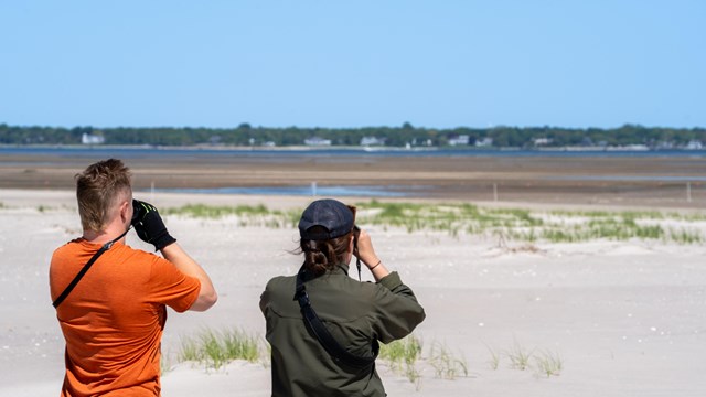 Two people surveying piping plovers on a beach