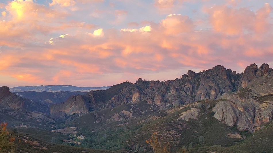 are dogs allowed in pinnacles national park