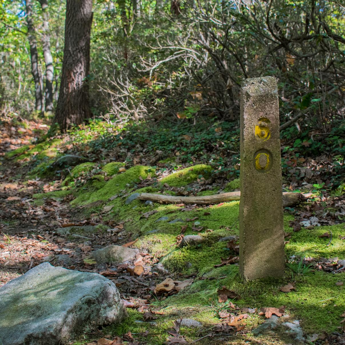 A leaf-covered hiking trailhead and mile marker