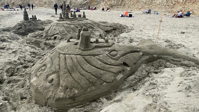 A large sand sculpture of two whales on which small towers and terraces have been constructed.