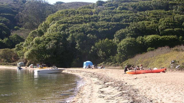 Three groups of campers with tents, kayaks, and a motor boat on a sandy, tree-lined beach.