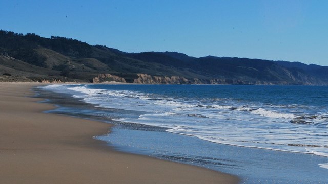 Looking along a sandy beach toward tree-covered hills with waves washing in from the right.