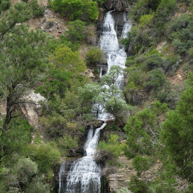 A waterfall cascading down a green canyon wall. 