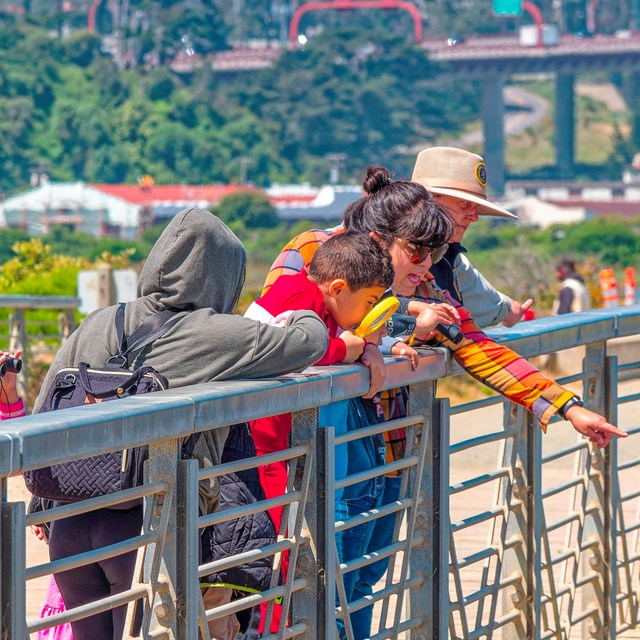 Students are led on an observation while standing on a bridge. 