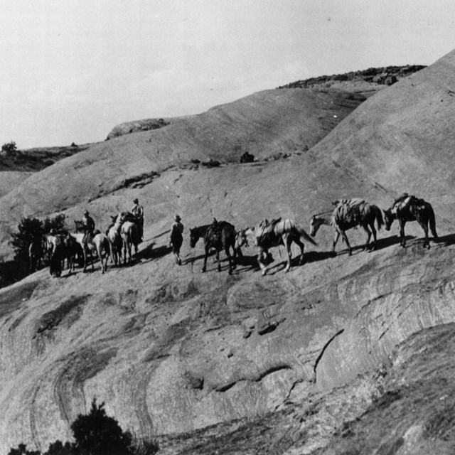 Historic black and white image of men leading line of pack horses over slickrock