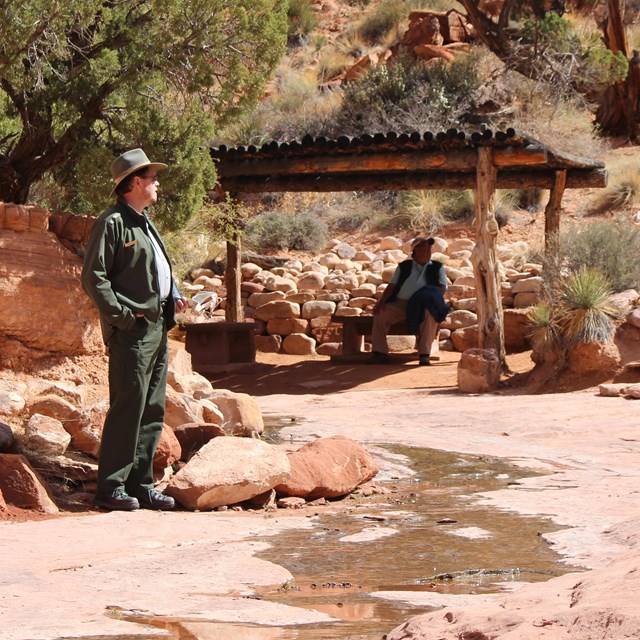 Ranger stands in front of shade shelter looking pensive