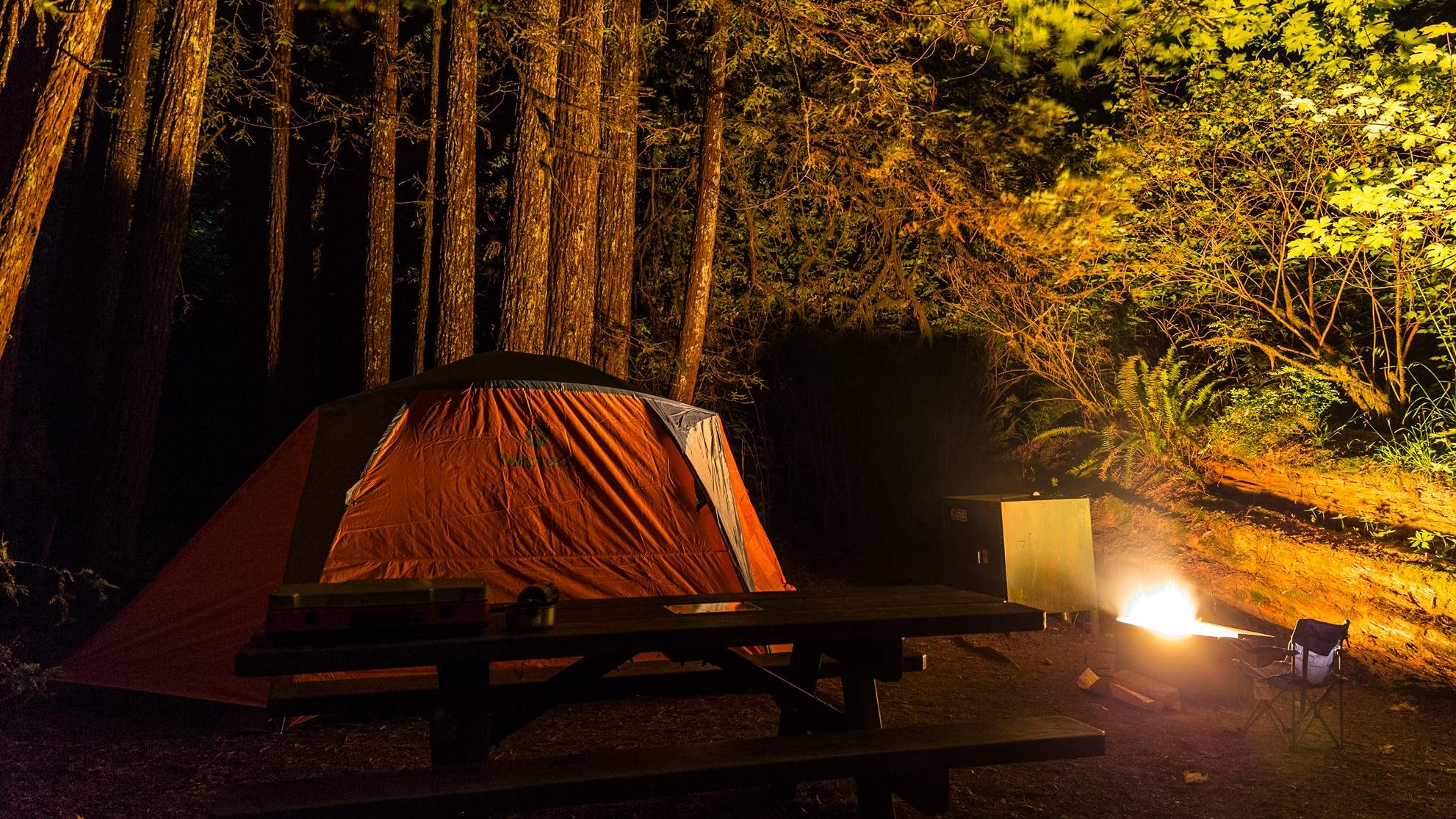 A small tents rests up against a tree background and light, at night. 