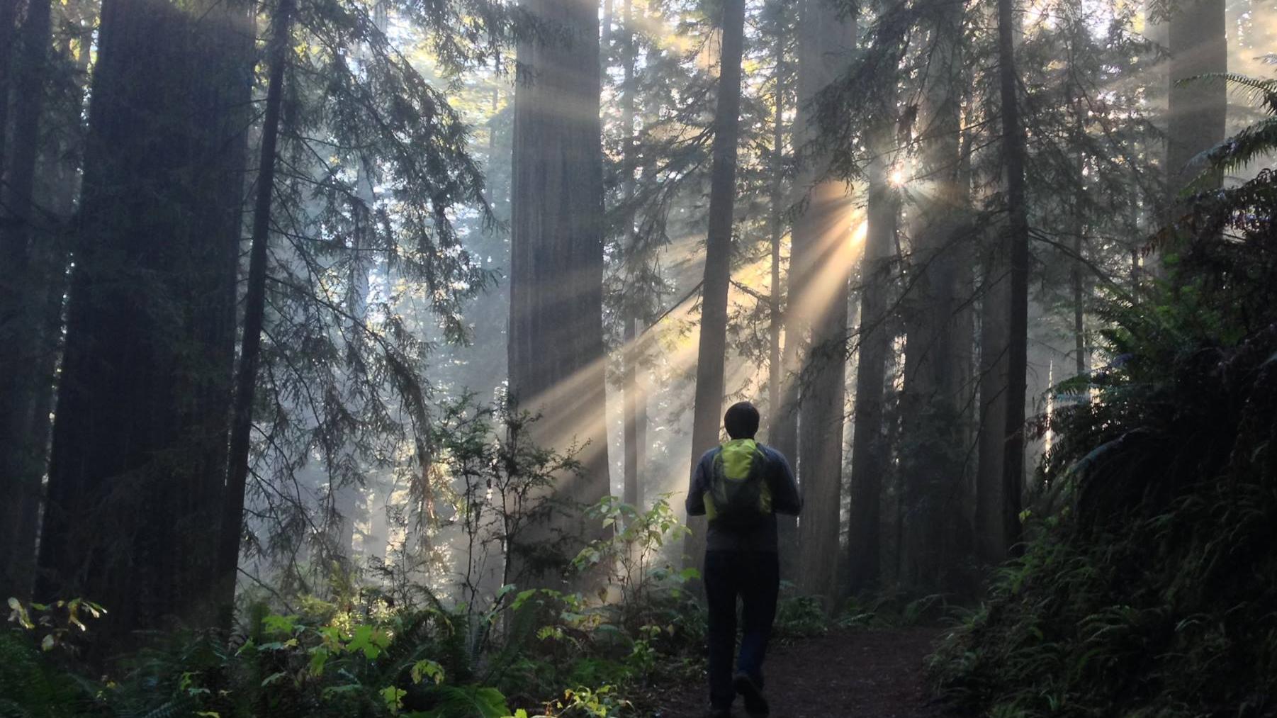 Choose a walk that meets your time-frame and energy.