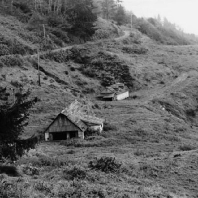Black and white photo of 1940s-era California farm