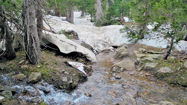 Plan Your Visit to Rocky Mountain National Park