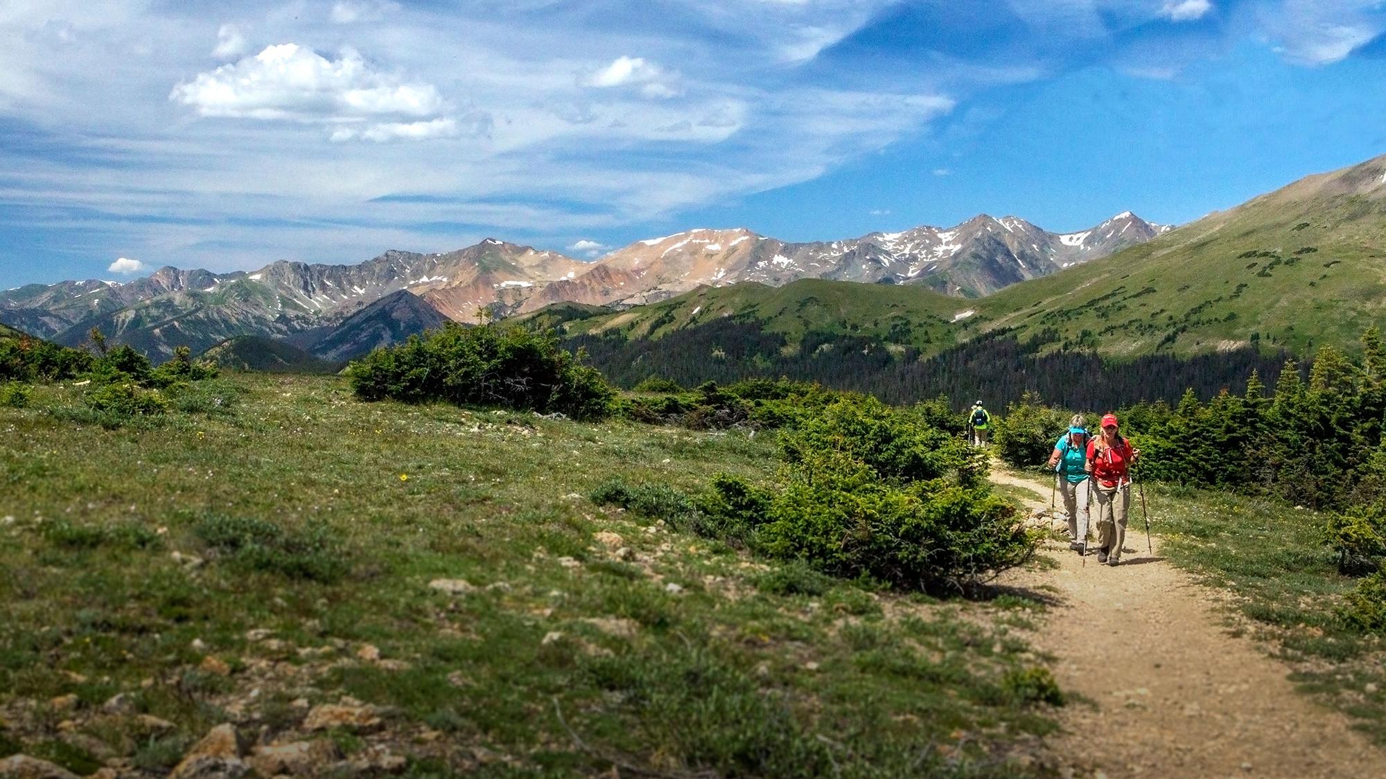 Two people are hiking on a trail lined with green vegetation on a sunny day