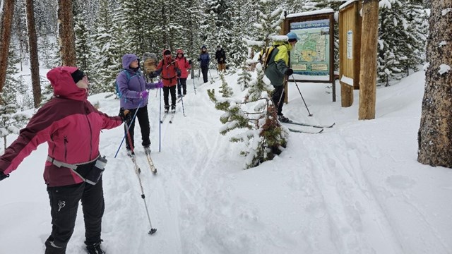 A group is on a ranger-led ski tour