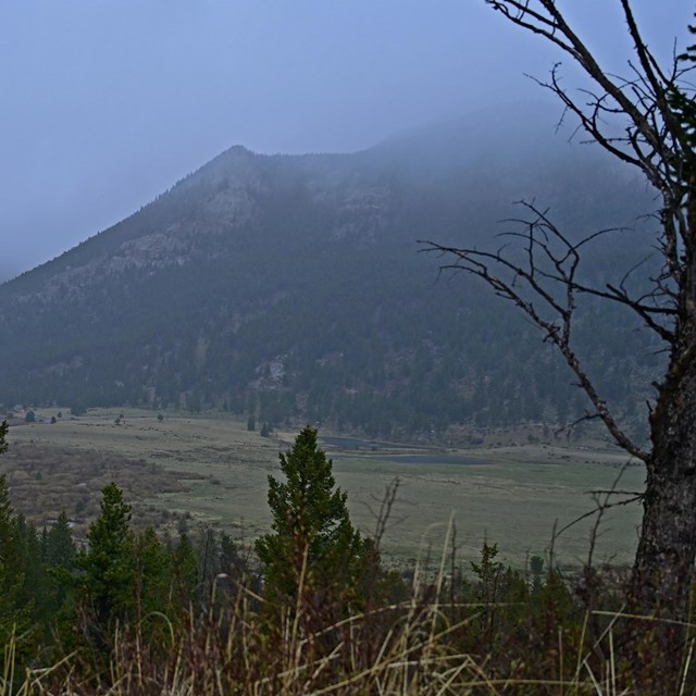 View looking down on Horseshoe Park, mountains in the distance have rain and snow misting them 