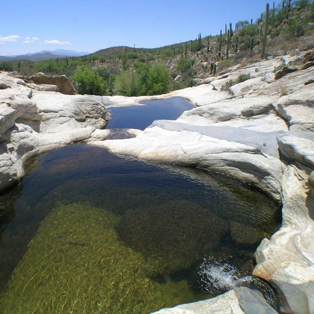 Tinaja filled with clear water and carved out of bedrock within a desert stream