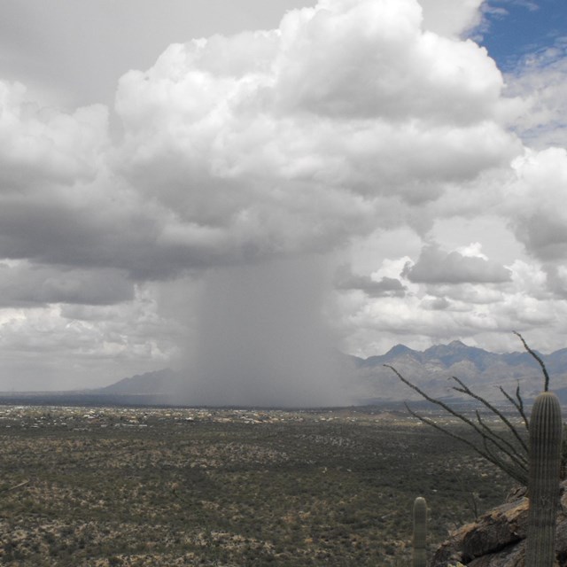 Column of rain drops from clouds onto Tucson