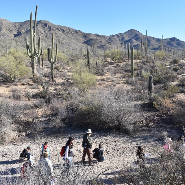 Young students hiking through a dry desert wash