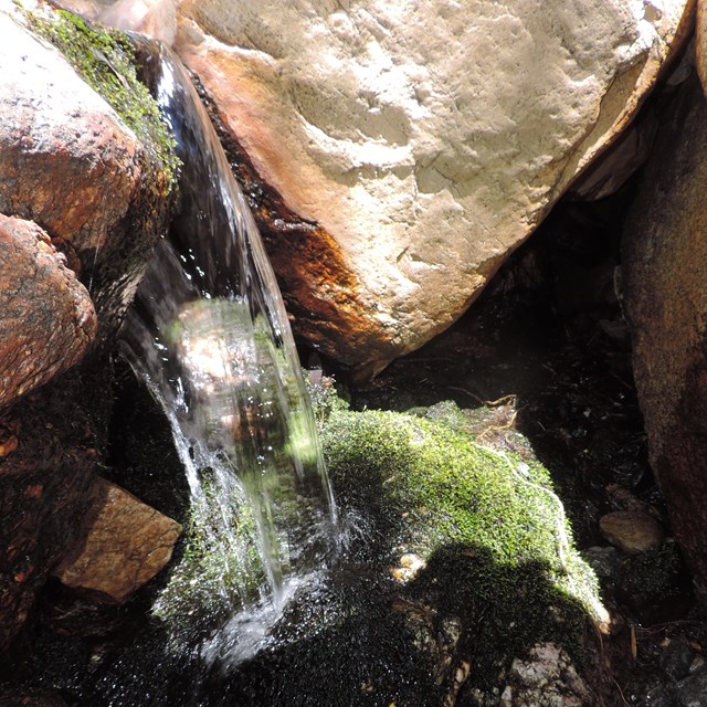 A spout of clear water flows over bedrock. There is moss growing where the water is falling.