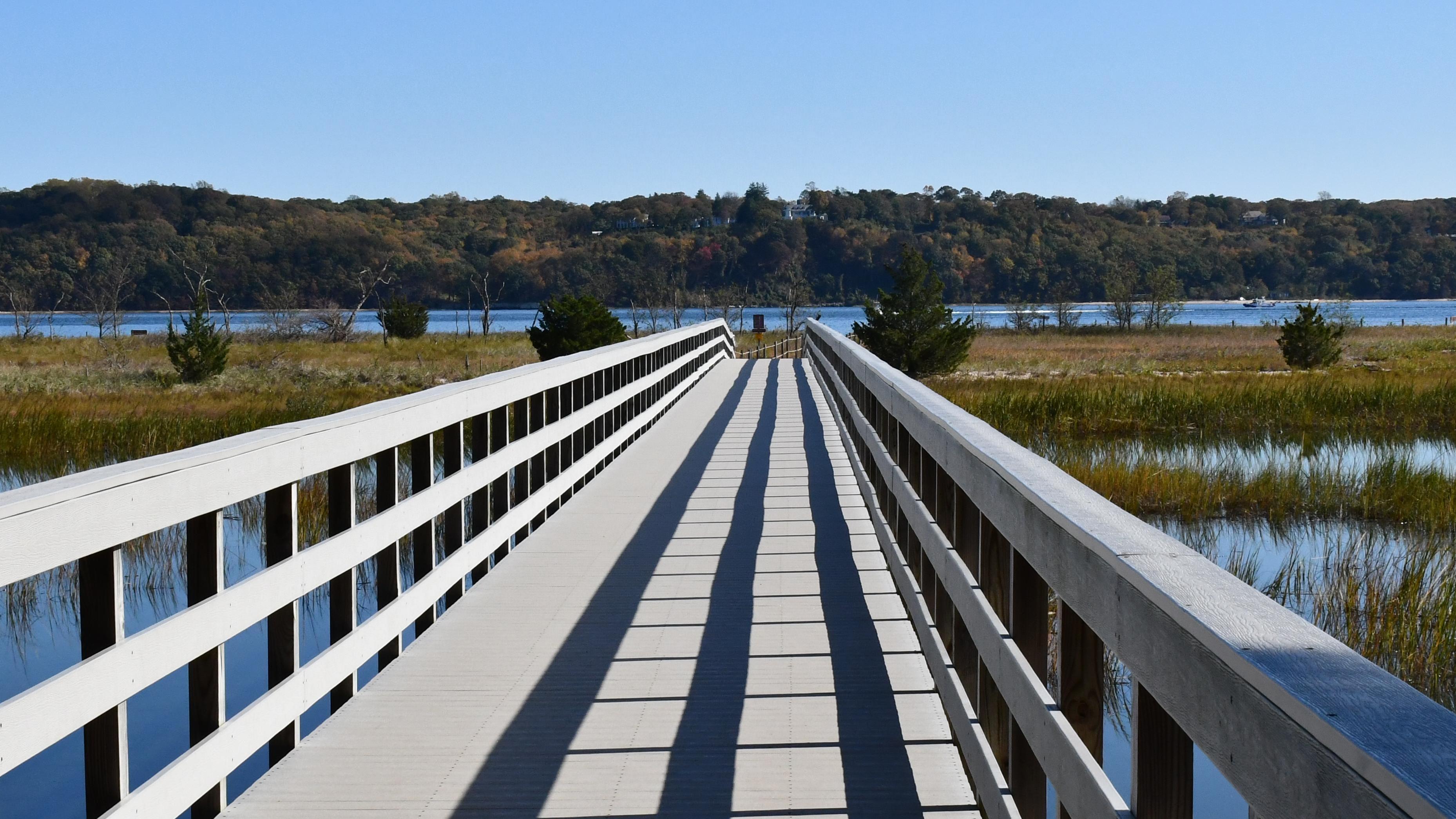 A boardwalk stretching over a creek leading to a dune and beach.