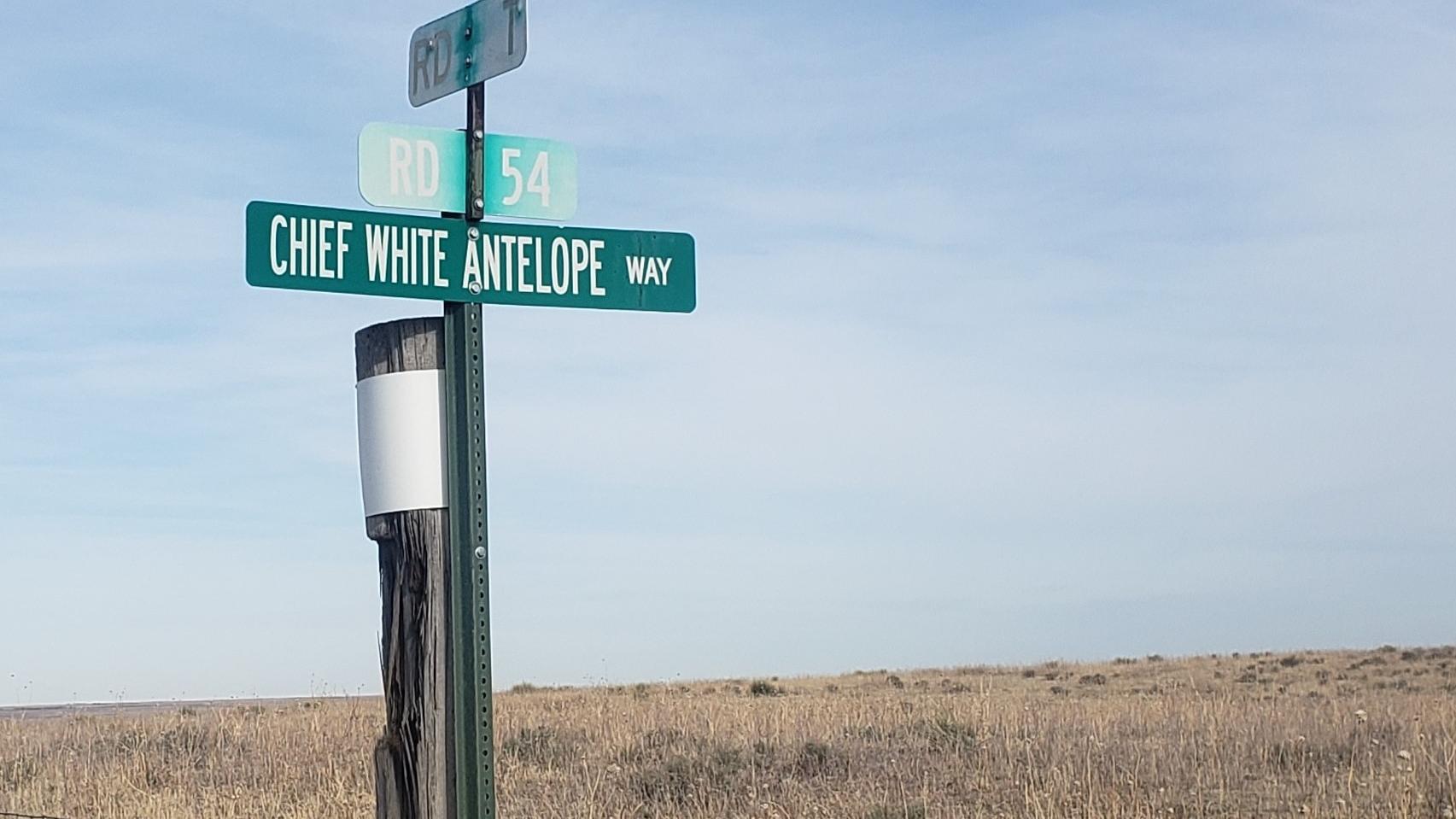 A signpost with three green road signs sits in front of an open grassy plain. 