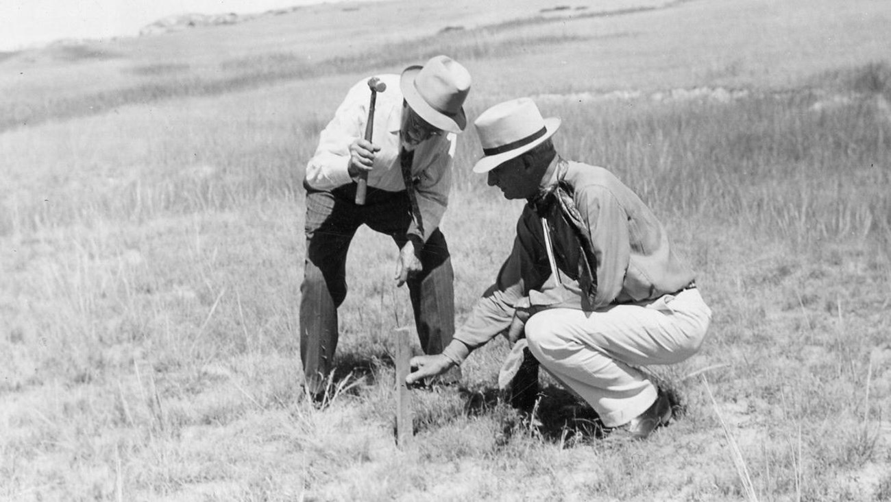 A black and white photo of two men, one is using a mallet to pound a stake into the ground. 