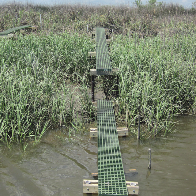 A platform in a salt marsh