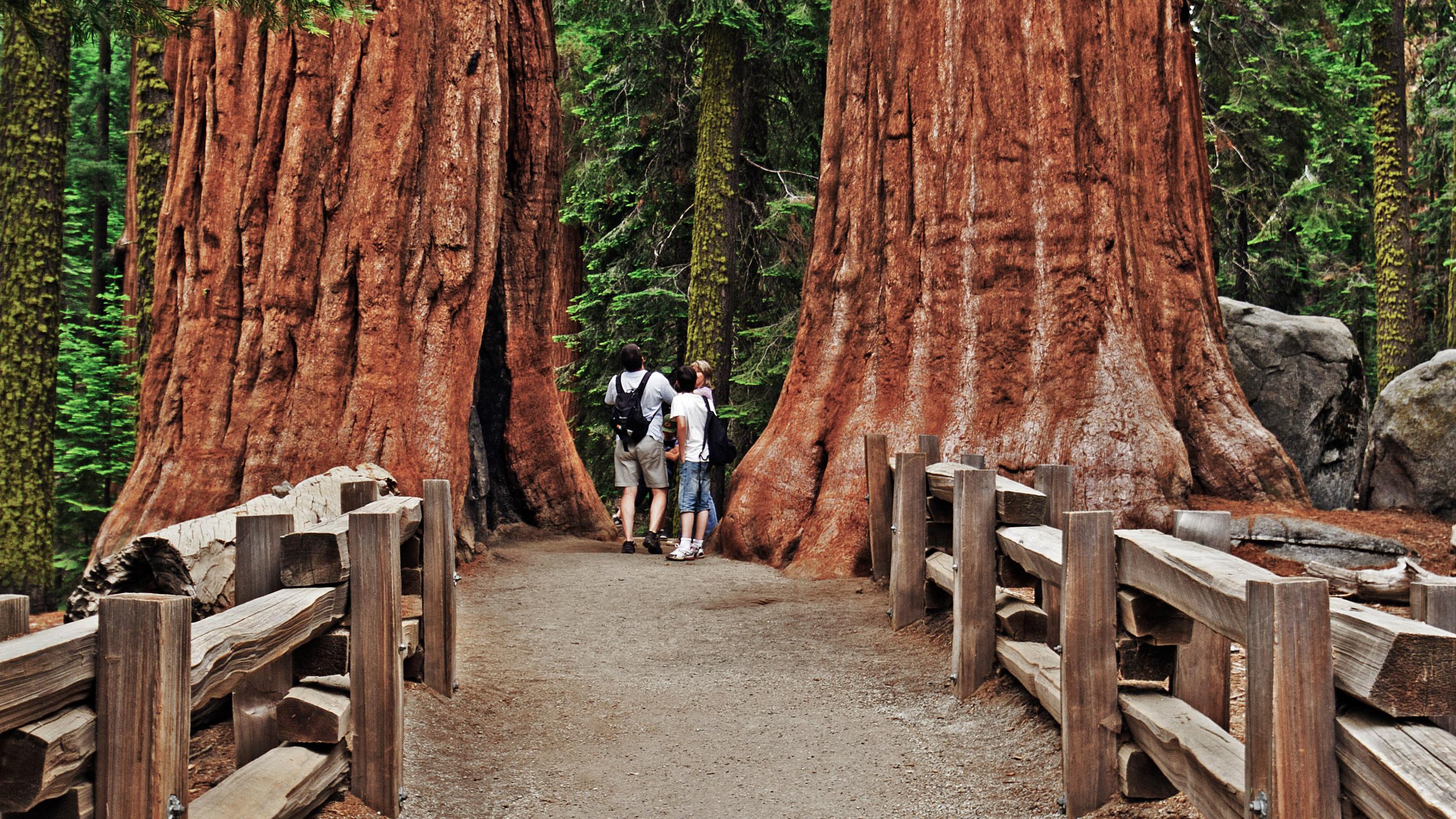 Sequoia & Kings Canyon National Parks (U.S. National Park Service)