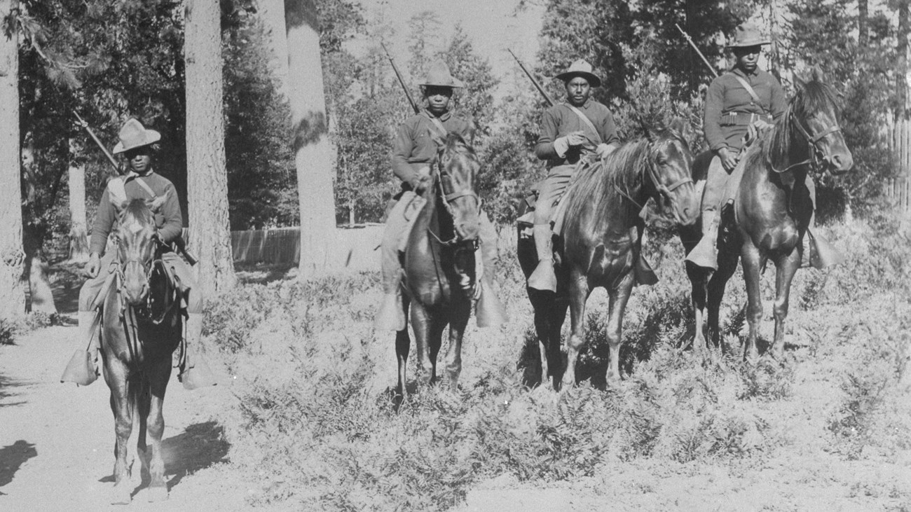 A group of African American men on horseback posing around sequoia trees.