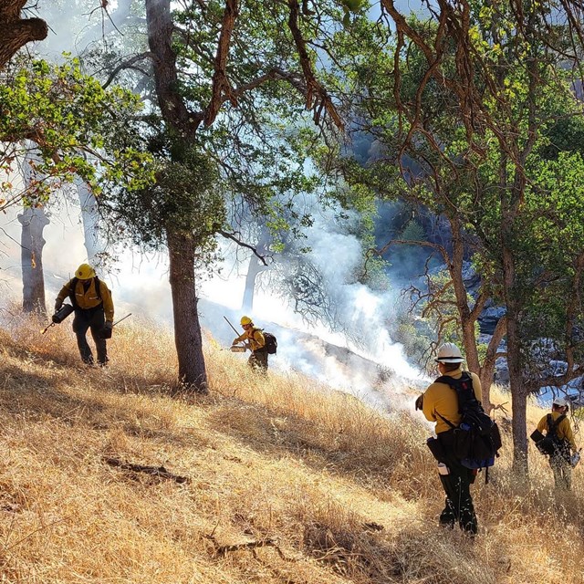 Fire fighters stand on a burning slope