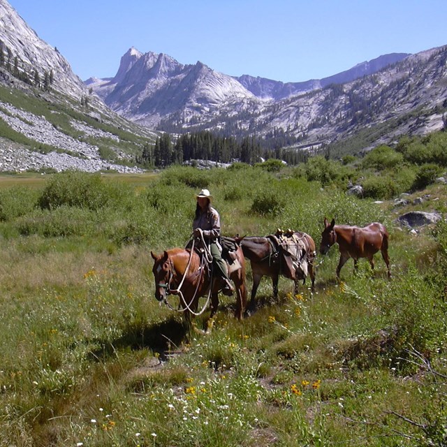 A woman on a horse in a high Sierra canyon