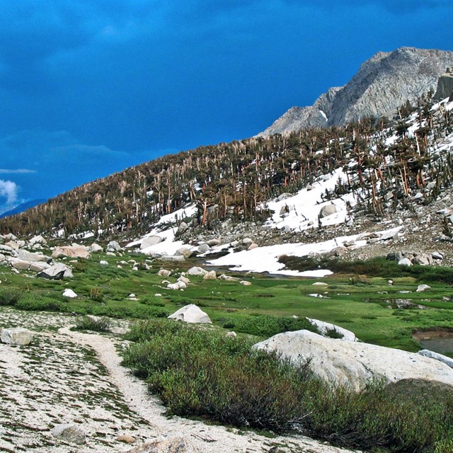 A stormy sky above a wilderness trail