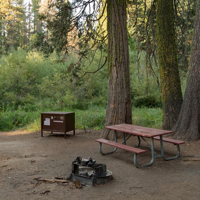 12+ Wild Camping Sequoia