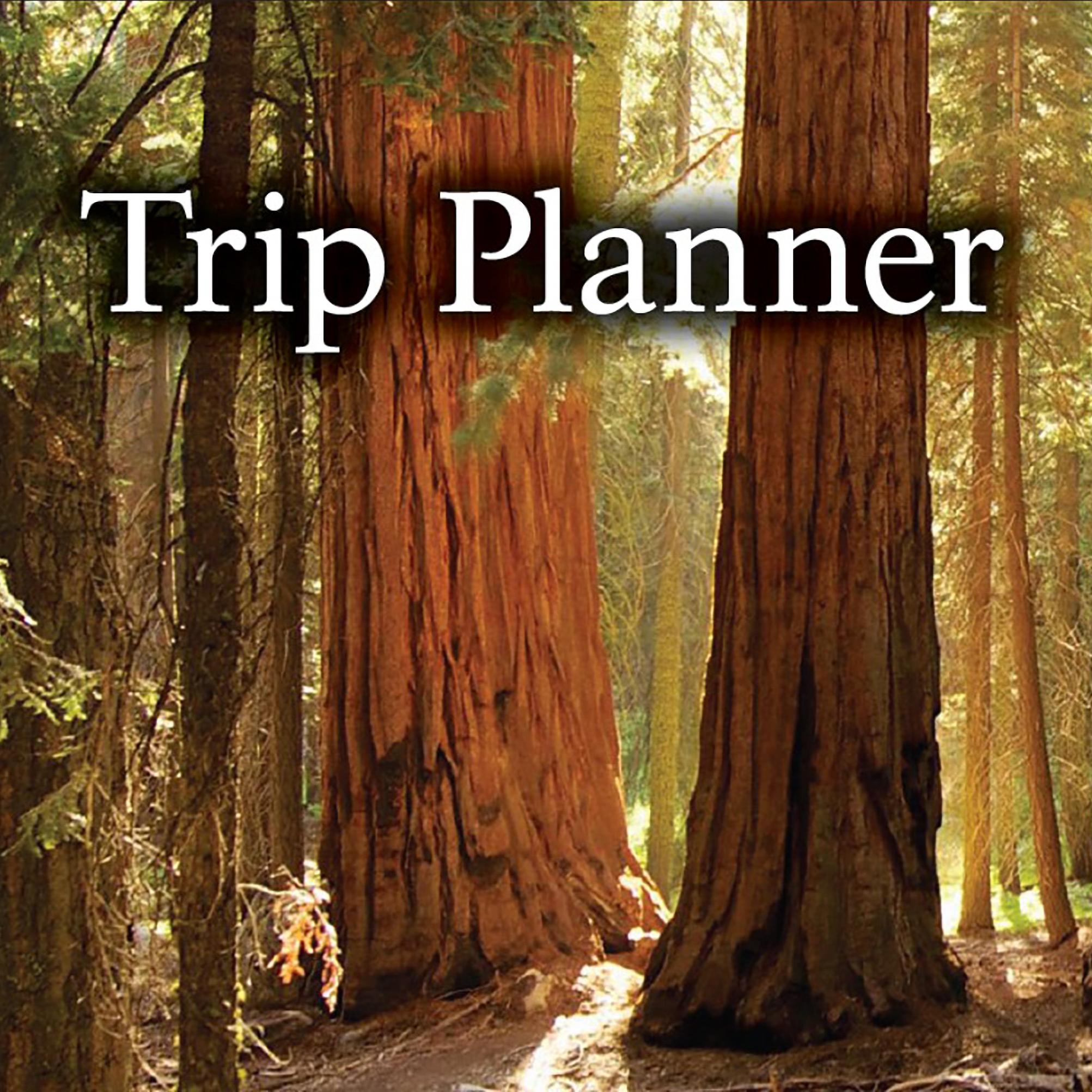 A line of sequoia trees in the sunlight with overlaid text reading 