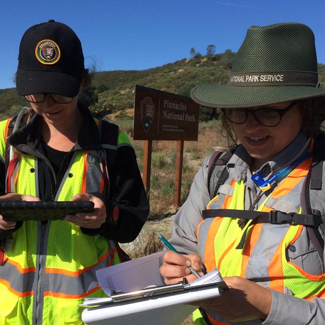 A National Park Service plant biologist and intern record data during an invasive plant survey