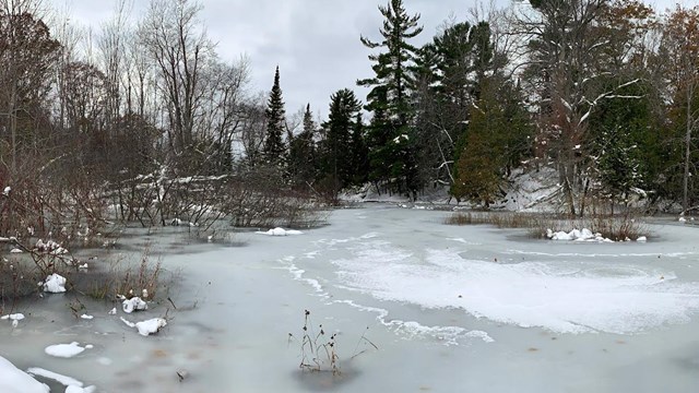 an ice covered river surrounded by trees.