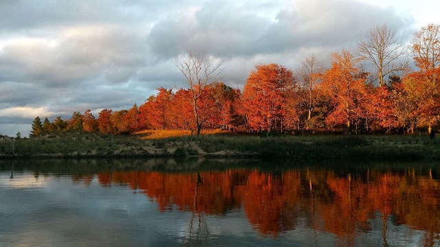 From the edge of a lake, a bright orange tree line is reflected with moody clouds overhead.