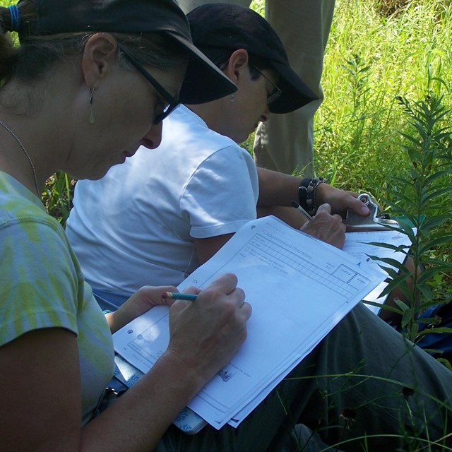 Two people wearing hats sit in a grassy area while taking notes on a clipboard