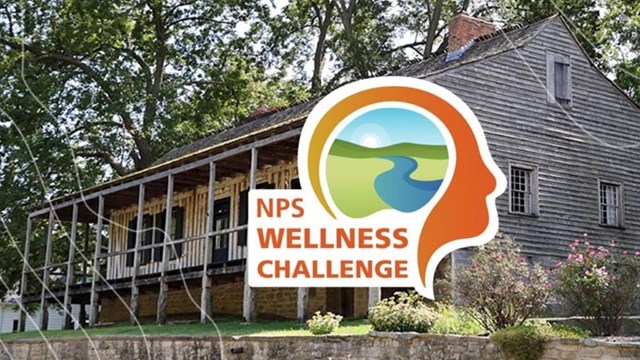 A logo featuring a landscape inside someone's mind with text reading NPS Wellness Challenge 