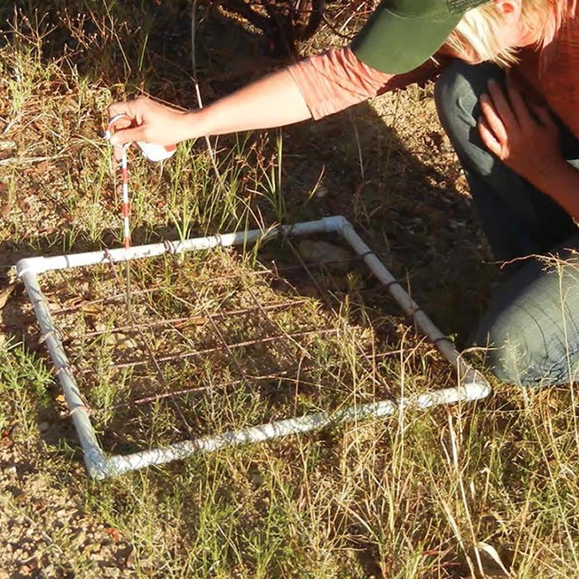 Quadrat used for biological soil crust sampling