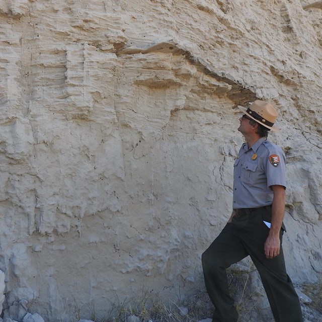 A park ranger stands in front of a cliff face. Just above his head layering can be seen in the rock.