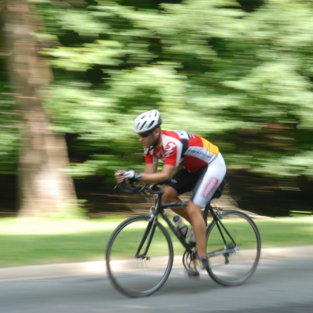 A bicyclist rides in Rock Creek Park.