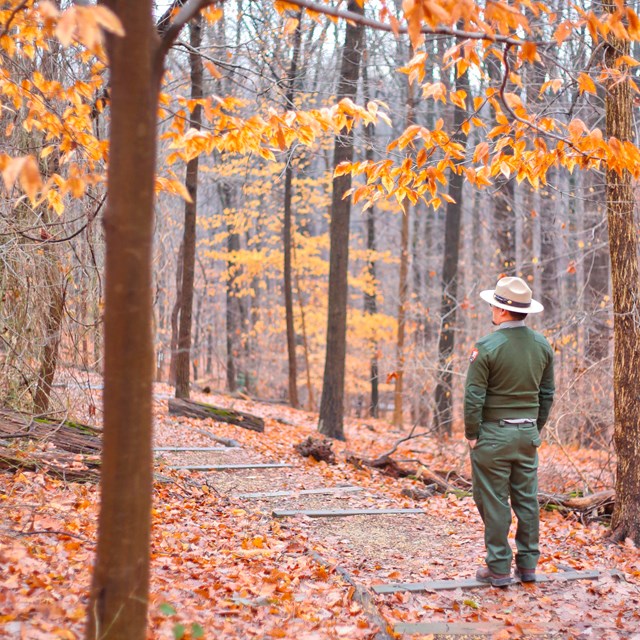 A Rock Creek Park Ranger starts a hike at the Rock Creek Park Natu
