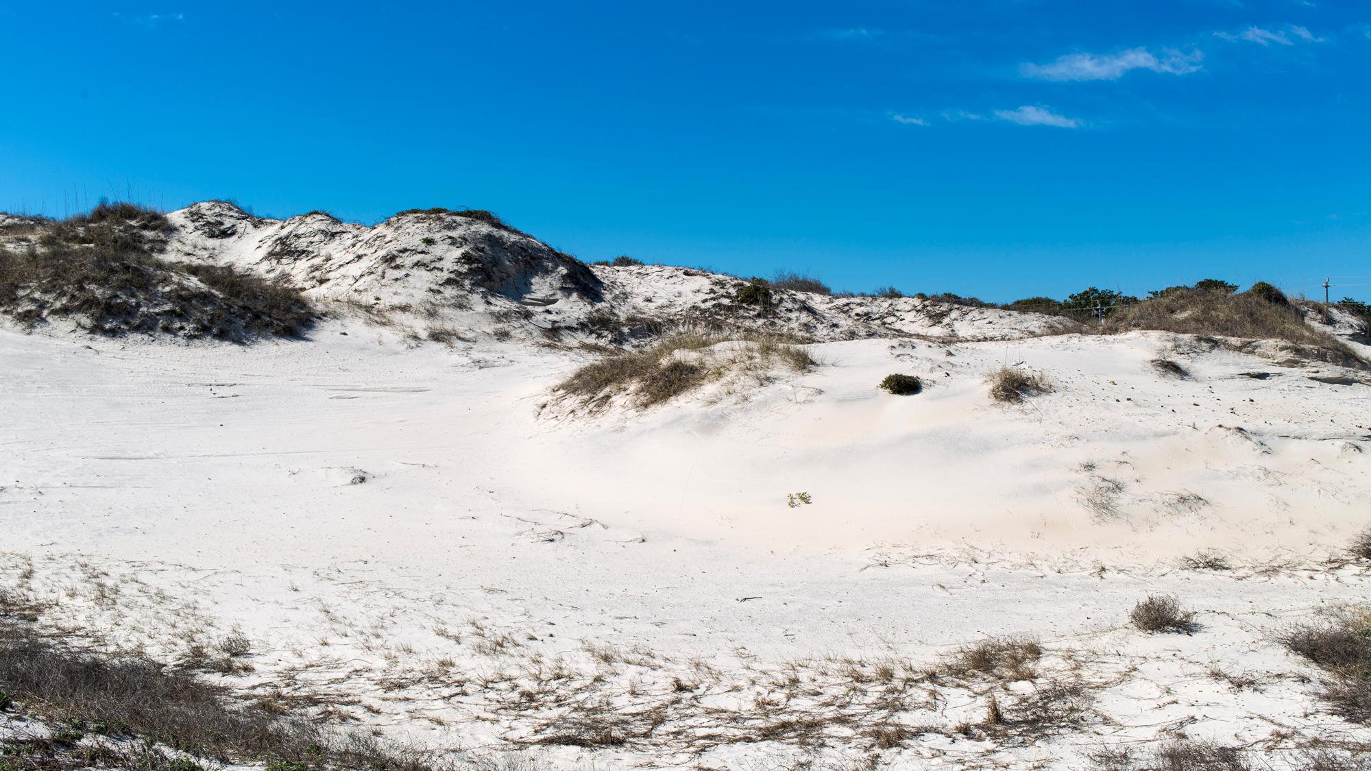 a sand dune with Sea Oats and a bright blue sky