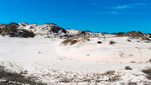 a sand dune with Sea Oats and a bright blue sky