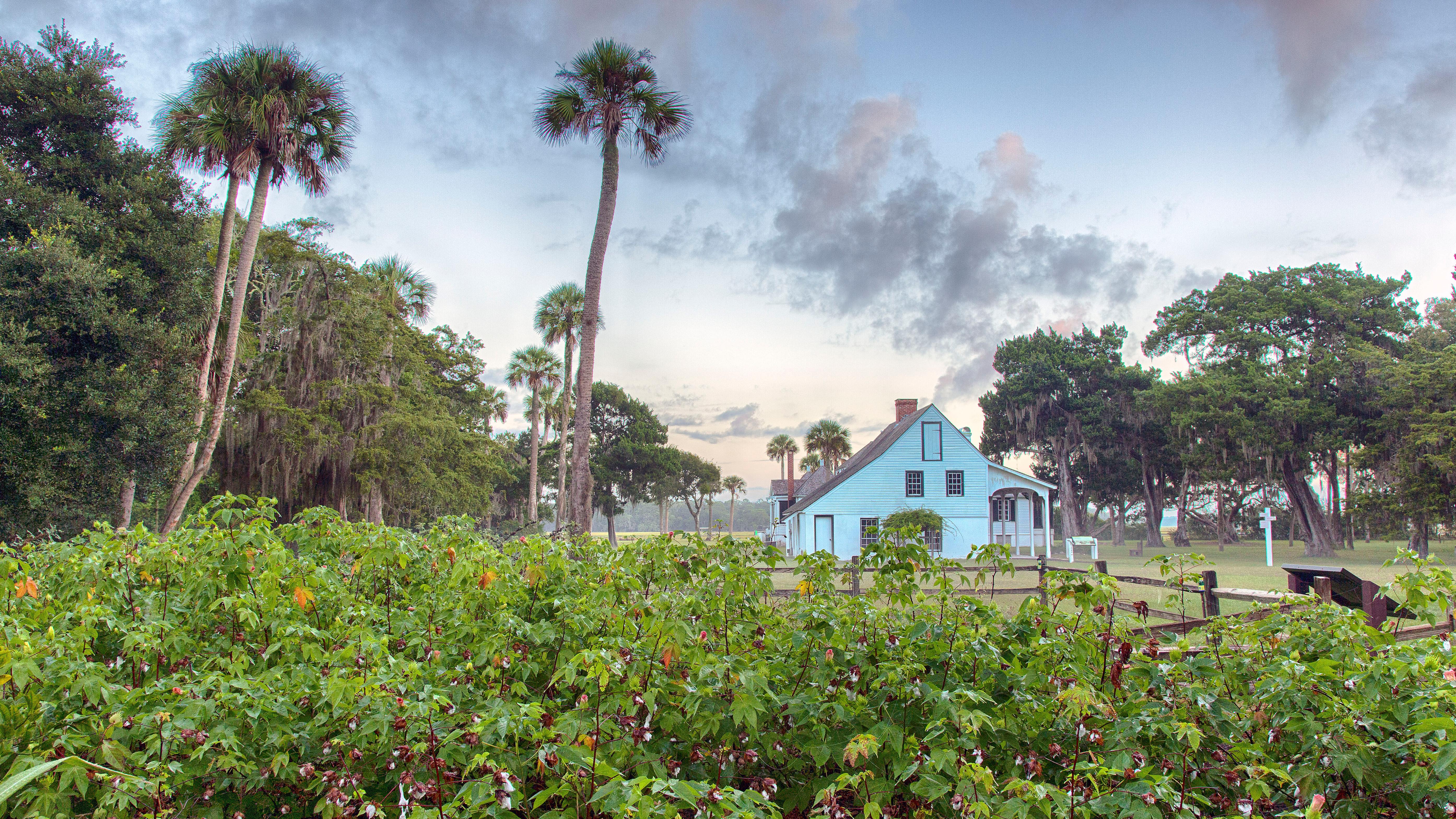 plantation kitchen house and garden
