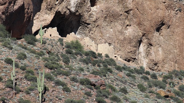 A cliff dwelling sits in a rock alcove surrounded by desert plants.