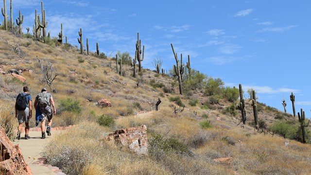 Two people hiking up a steep, paved trail surrounded by desert plants.