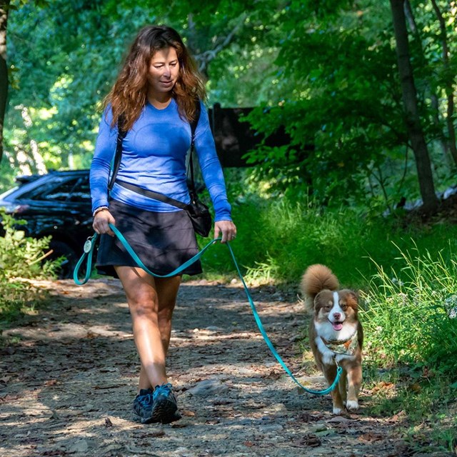 a woman walks a dog on a forested trail